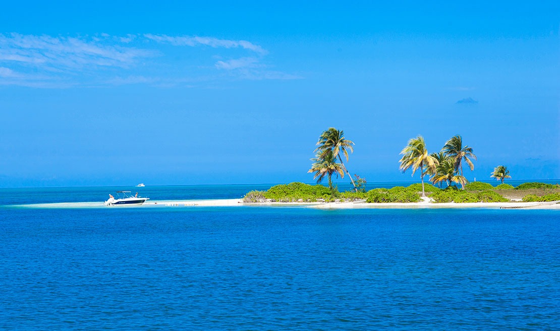 Remote Beach Best Beaches in Cayman Island Crazy Crab