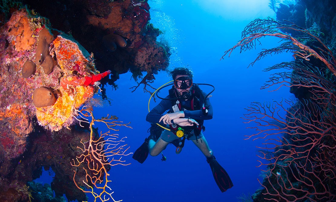 Scuba Dive in Cayman Island - Crazy Crab