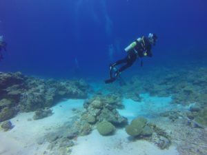 Grand Cayman with kids_05