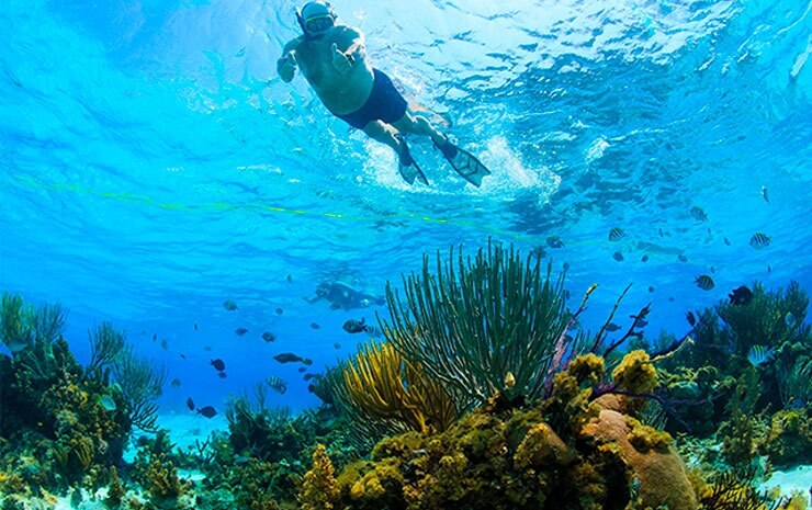 man diving looking for hidden gems in grand cayman