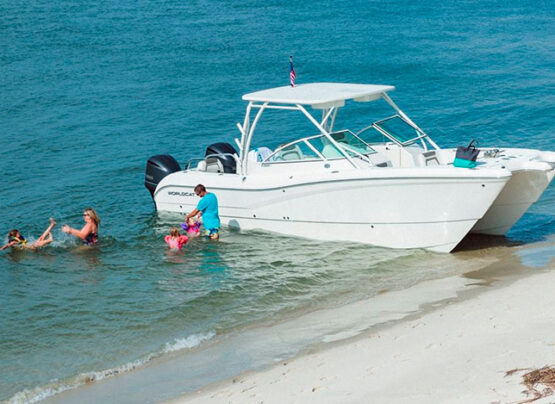 grand-cayman-private-charter-crazy-crab