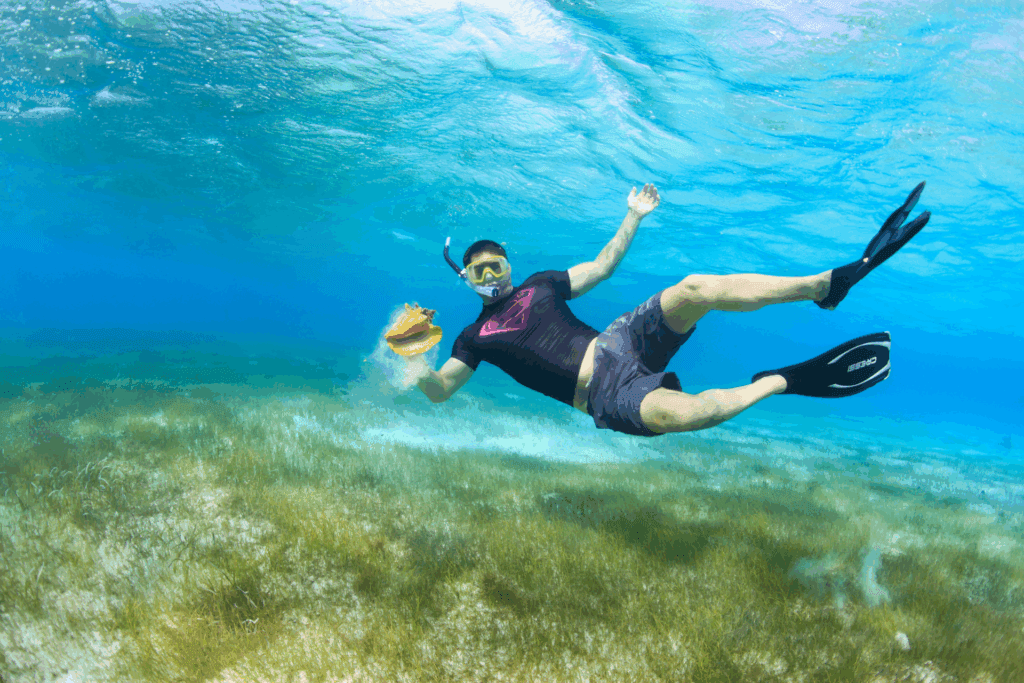 Seashell underwater - Guided Snorkeling experience with Crazy Crab Cayman