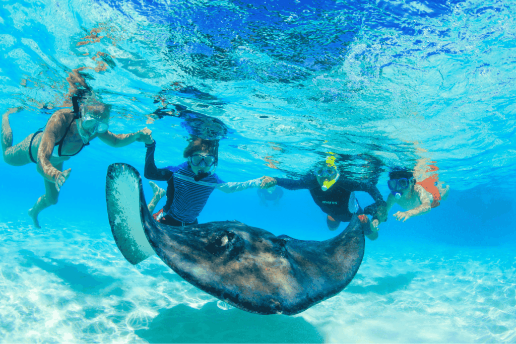 Grand Cayman - family swimming with a Stingray